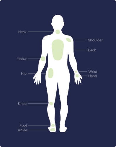 Human Body
